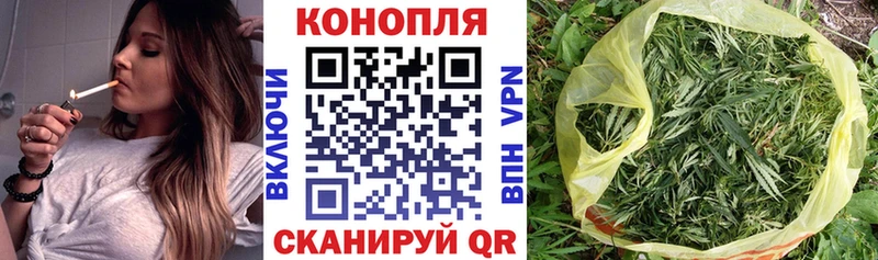 Конопля OG Kush MEGA как зайти Нестеровская